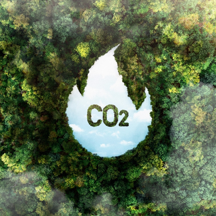 partership-co2